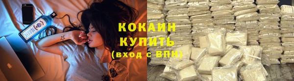 дмт Белокуриха