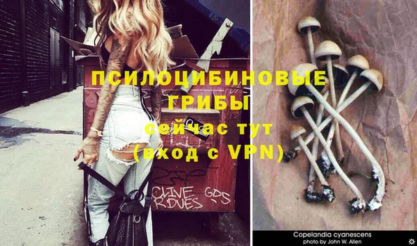дмт Белокуриха