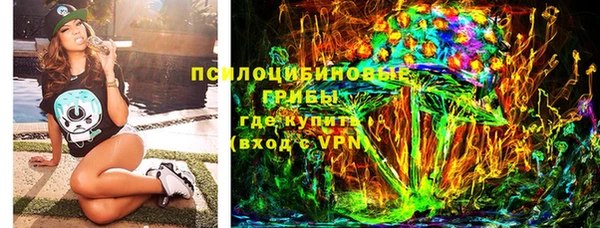 дурь Богородицк