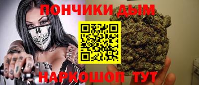 бошки Гатчина