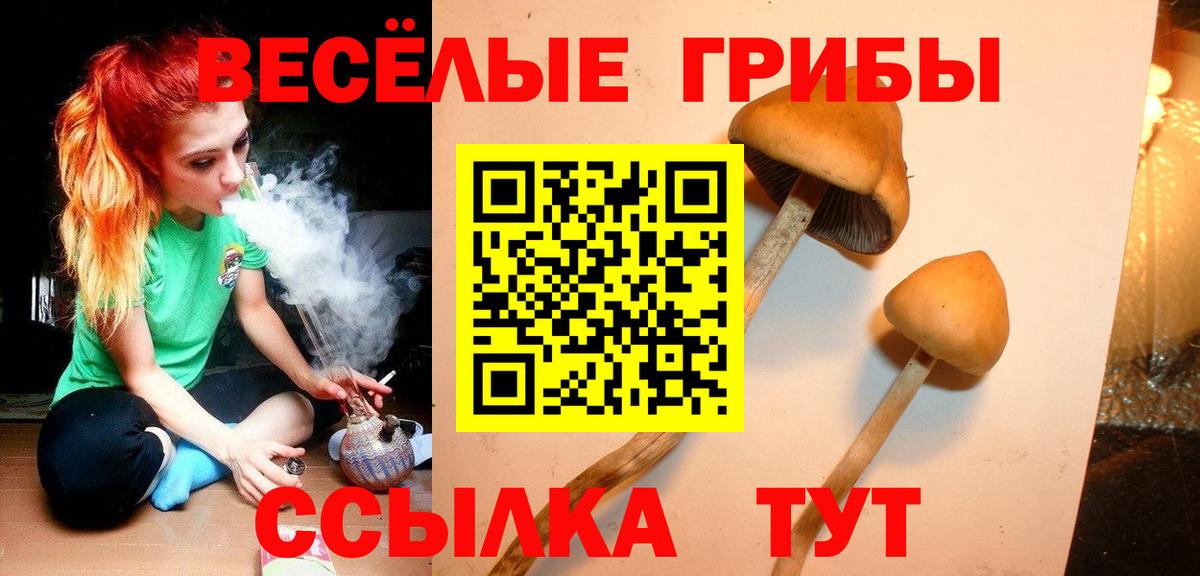 сколько стоит  Вход с VPN  Майкоп  Псилоцибиновые грибы мухоморы  Галлюциногенные грибы Magic Shrooms 