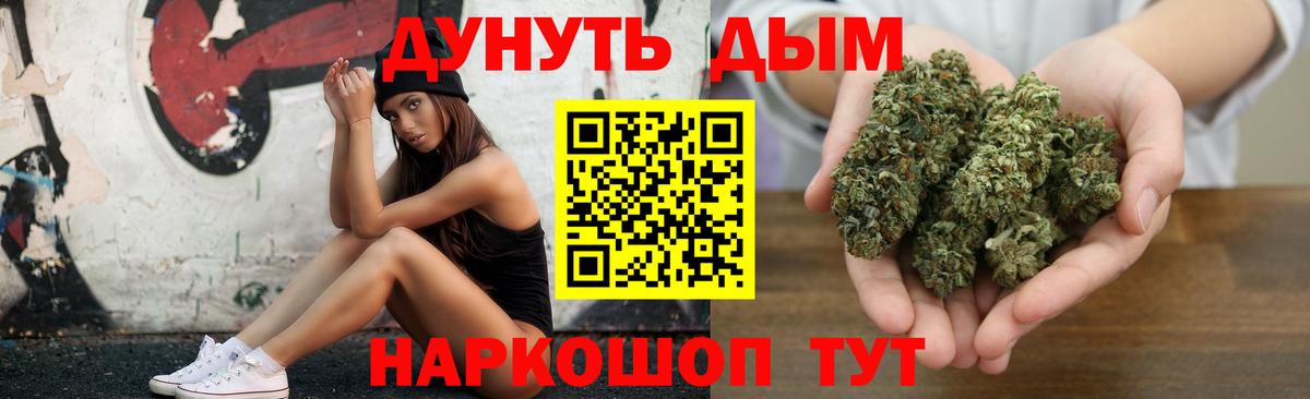 Бошки Шишки план Майкоп